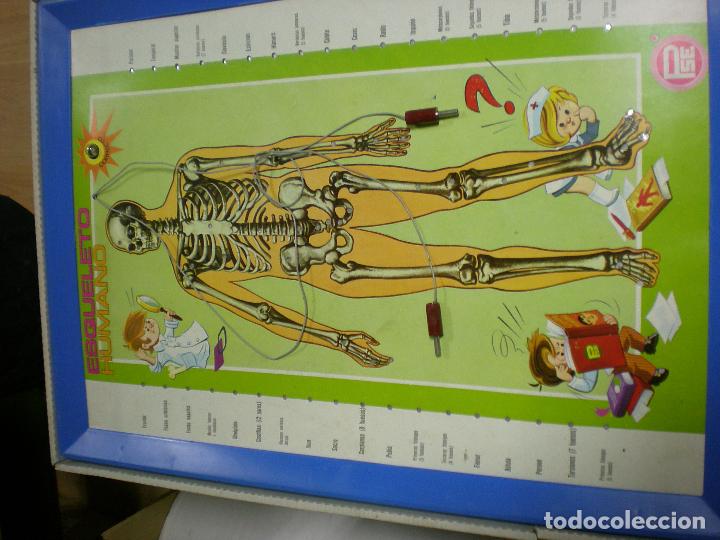 Juegos educativos: JUGUETE ESTUDIANDO ANATOMIA - Foto 2