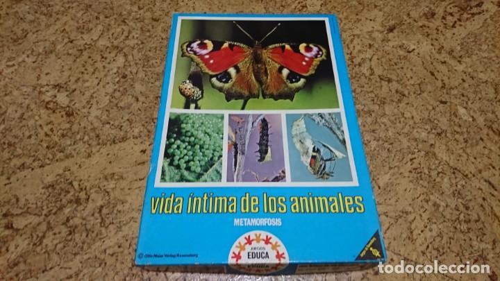Juegos educativos: VIDA &Iacute;NTIMA DE LOS ANIMALES, JUEGO DE CUARTETOS, EDUCA - Foto 1