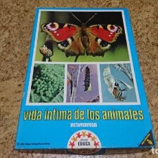 Juegos educativos: VIDA ÍNTIMA DE LOS ANIMALES, JUEGO DE CUARTETOS, EDUCA 