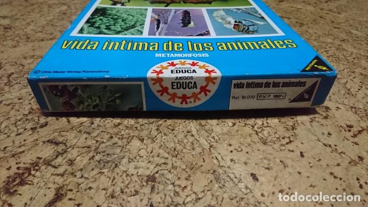 Juegos educativos: VIDA &Iacute;NTIMA DE LOS ANIMALES, JUEGO DE CUARTETOS, EDUCA - Foto 2
