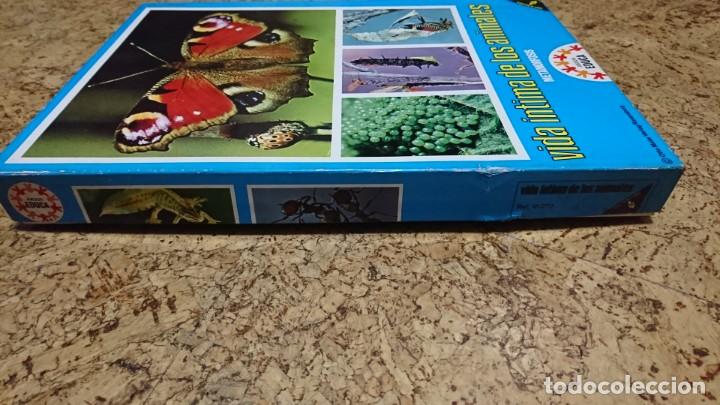 Juegos educativos: VIDA &Iacute;NTIMA DE LOS ANIMALES, JUEGO DE CUARTETOS, EDUCA - Foto 3