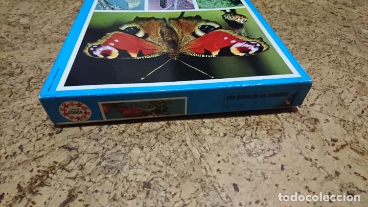 Juegos educativos: VIDA &Iacute;NTIMA DE LOS ANIMALES, JUEGO DE CUARTETOS, EDUCA - Foto 4