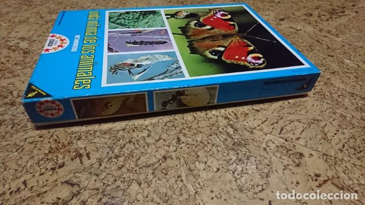 Juegos educativos: VIDA &Iacute;NTIMA DE LOS ANIMALES, JUEGO DE CUARTETOS, EDUCA - Foto 5