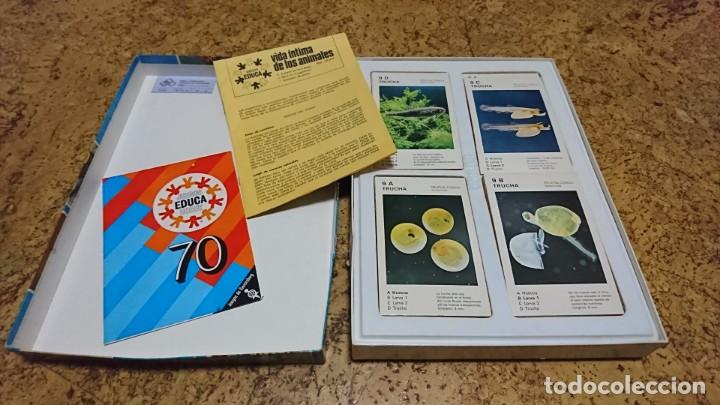 Juegos educativos: VIDA &Iacute;NTIMA DE LOS ANIMALES, JUEGO DE CUARTETOS, EDUCA - Foto 6