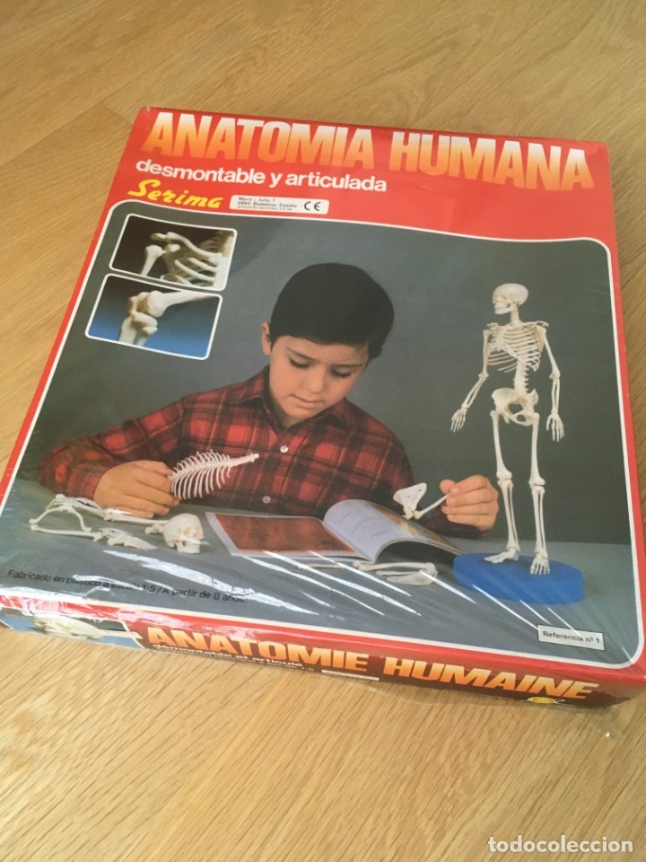 Juegos educativos: ANATOMIA HUMANA n&ordm; 1 de SERIMA. - Foto 1