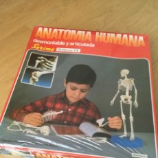 Juegos educativos: ANATOMIA HUMANA Nº 1 DE SERIMA.. Lote 178827482