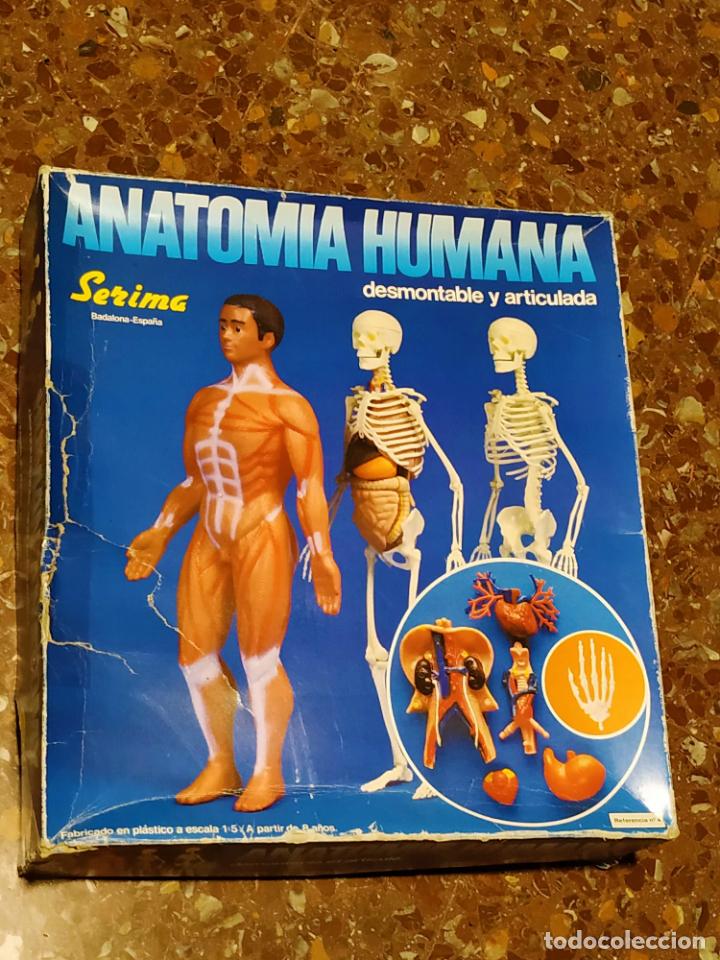 Juegos educativos: ANATOMIA HUMANA de SERIMA - Foto 1