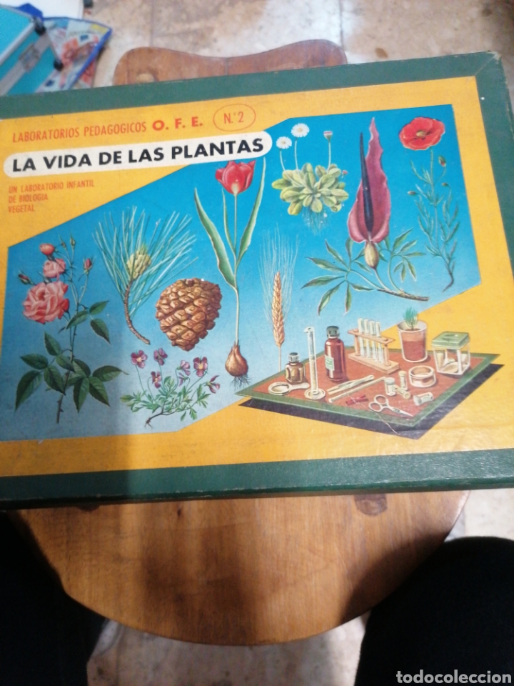 Juegos educativos: La vida de las plantas n 2 - Foto 1