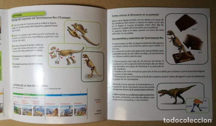 Ciência e jogo - Crânio do T-Rex, Clementoni ciência