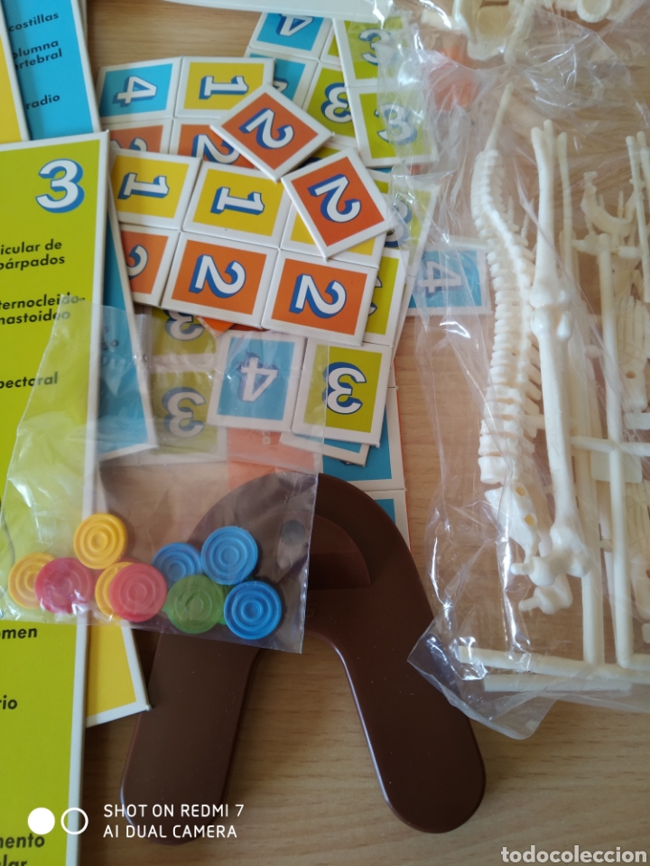 Juegos educativos: Educa. Conoce tu cuerpo. Nuevo - Foto 4