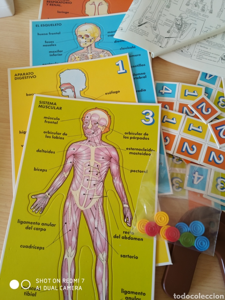 Juegos educativos: Educa. Conoce tu cuerpo. Nuevo - Foto 5