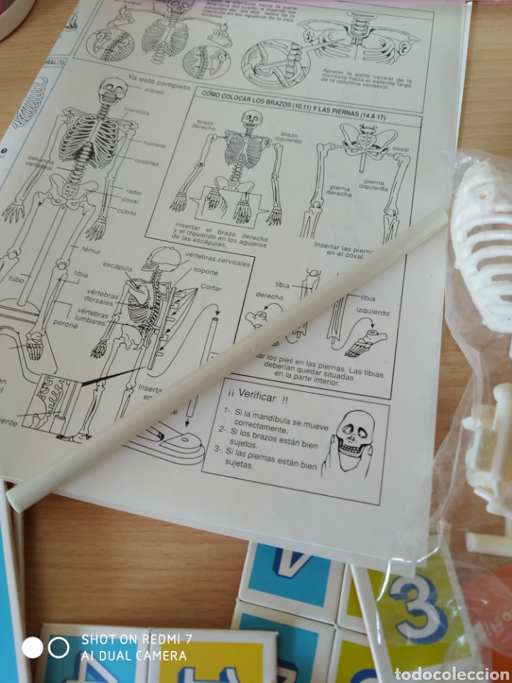 Juegos educativos: Educa. Conoce tu cuerpo. Nuevo - Foto 6