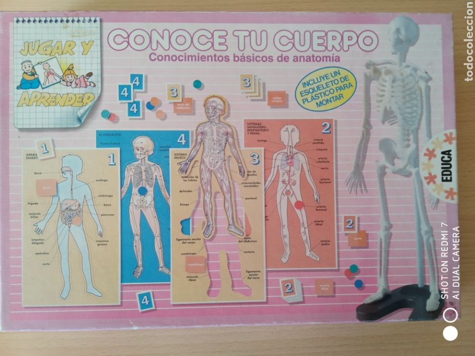 Juegos educativos: Educa. Conoce tu cuerpo. Nuevo - Foto 1