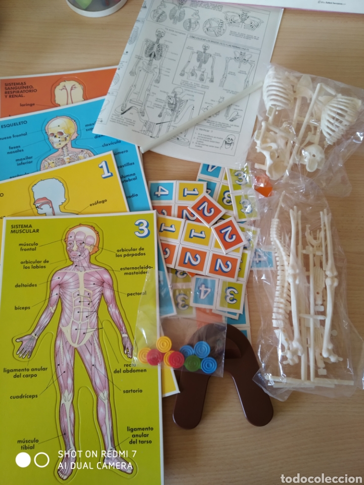 Juegos educativos: Educa. Conoce tu cuerpo. Nuevo - Foto 2