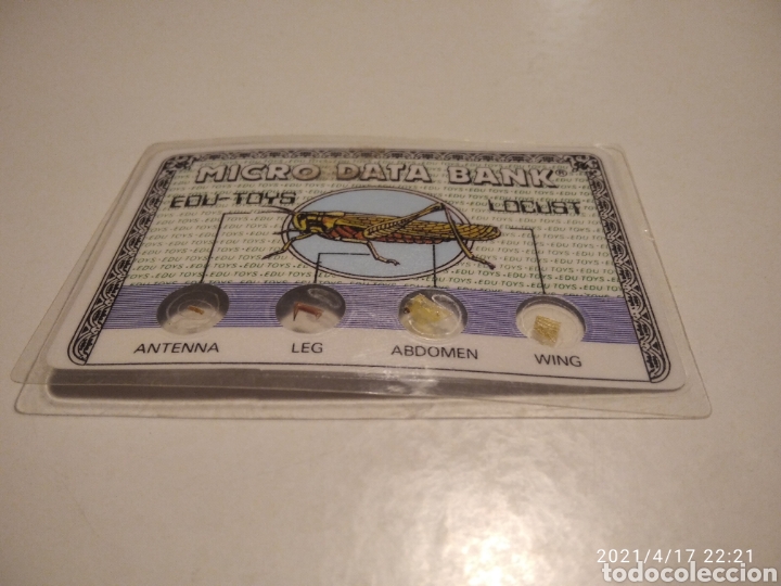 Juegos educativos: Micro Data Bank edu toys locust - Foto 1
