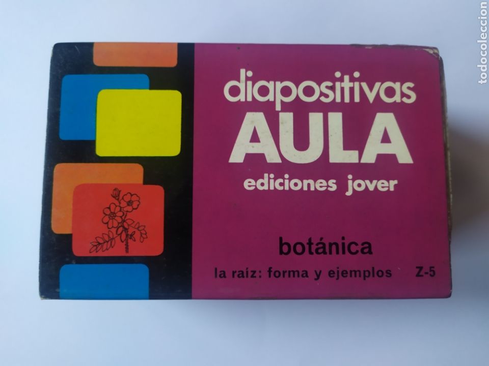 Juegos educativos: Diapositivas Aula. La ra&iacute;z formas y ejemplos - Foto 1