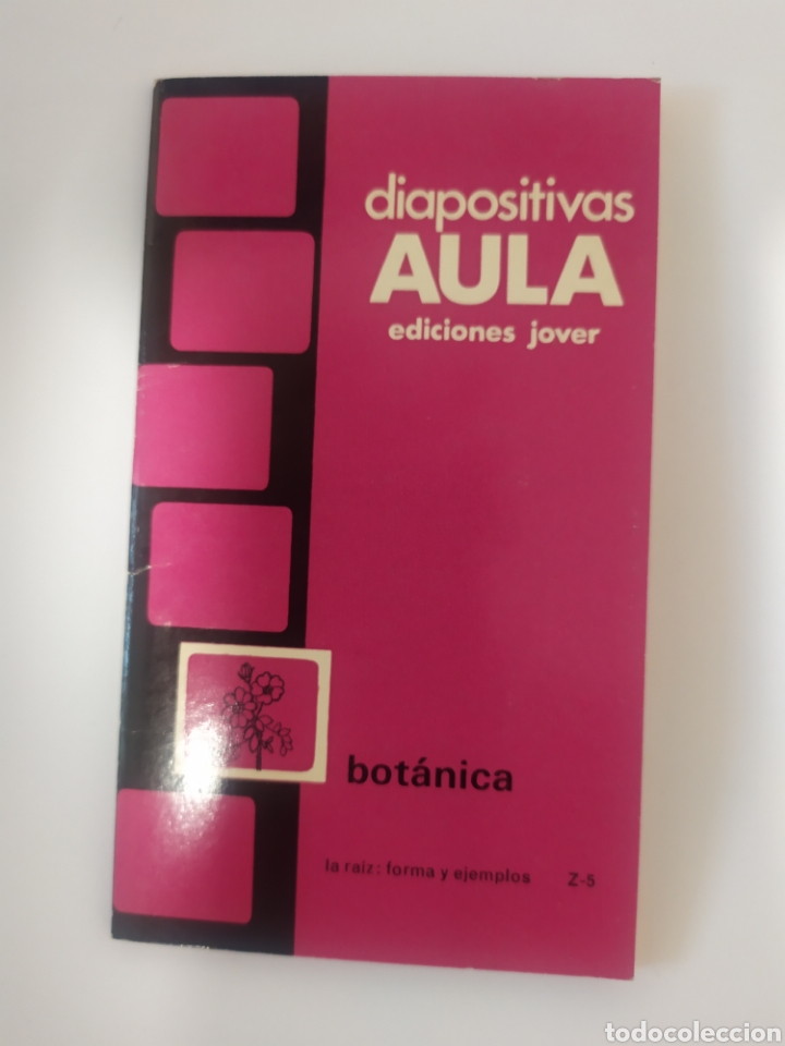 Juegos educativos: Diapositivas Aula. La ra&iacute;z formas y ejemplos - Foto 2