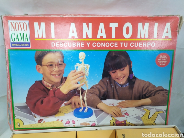 Juegos educativos: Mi Anatomia de Novo Gama - Foto 2