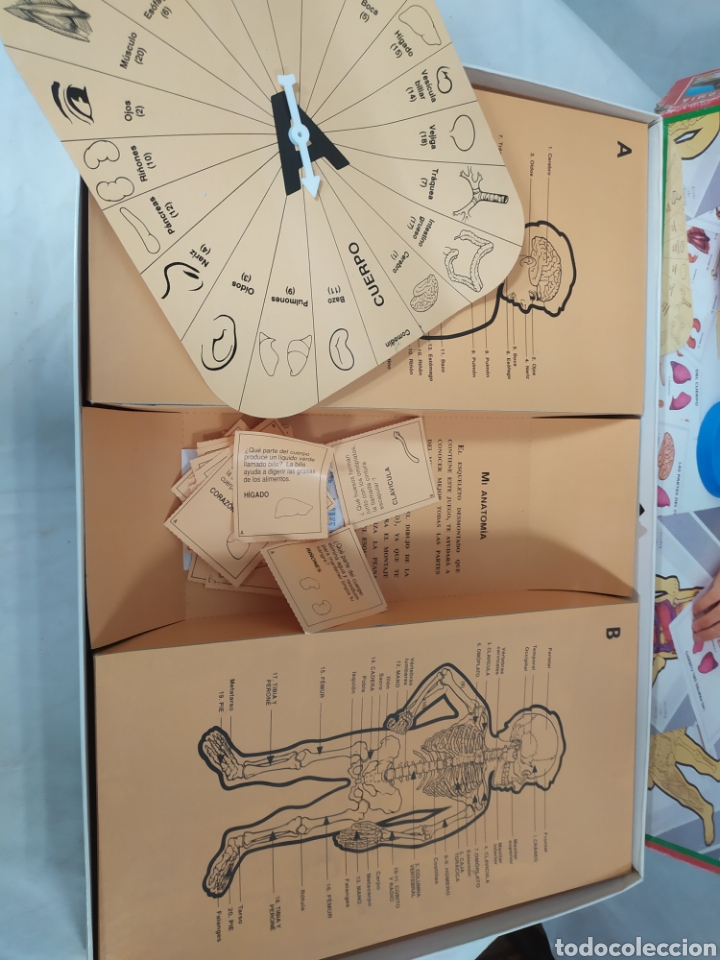 Juegos educativos: Mi Anatomia de Novo Gama - Foto 3