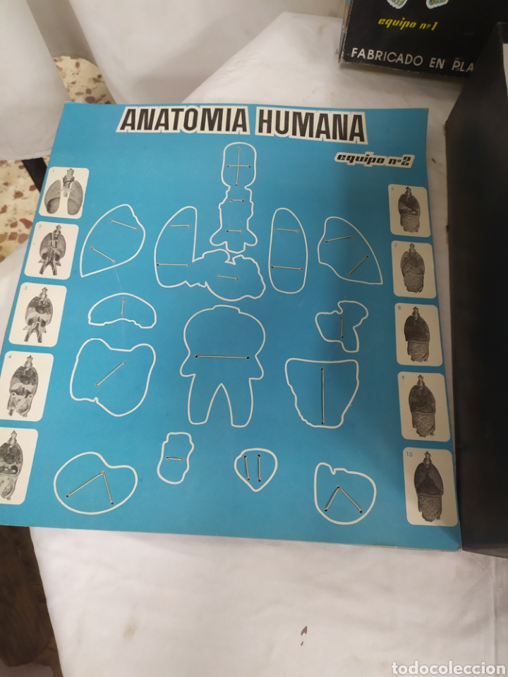 Juegos educativos: Anatom&iacute;a Humana Desmontable - Foto 2