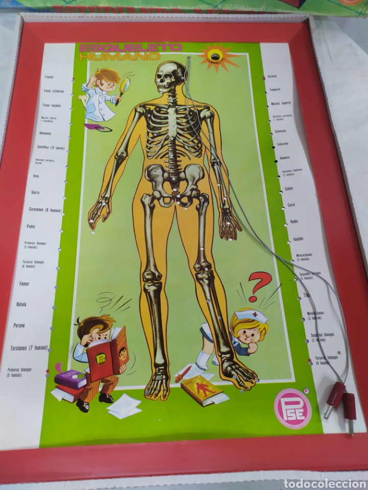 Juegos educativos: Estudiando anatom&iacute;a de PSE - Foto 3