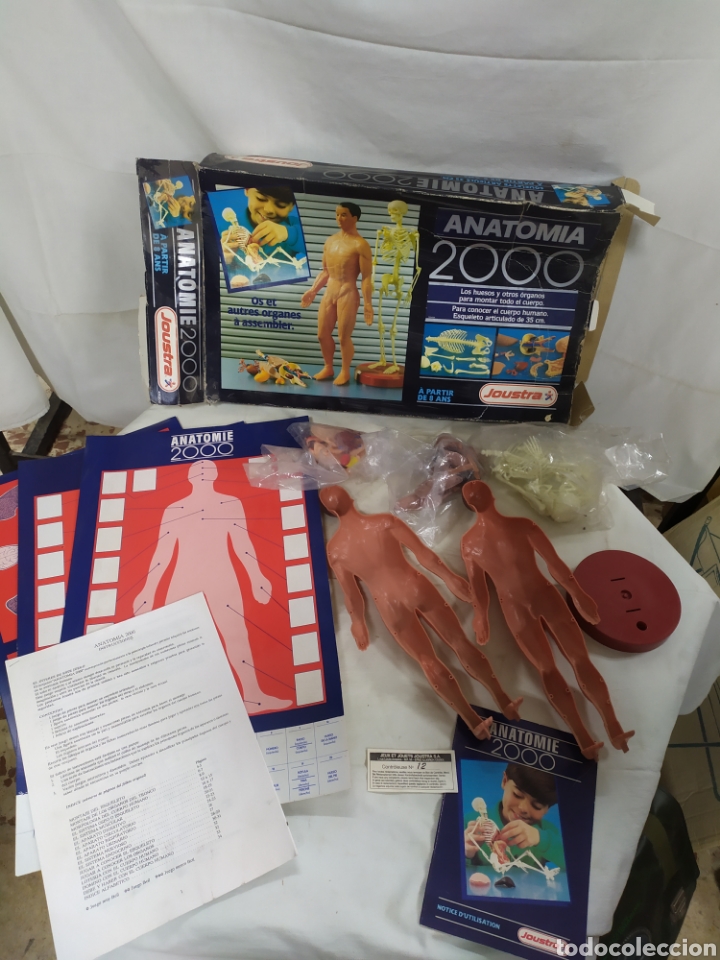 Juegos educativos: Anatom&iacute;a 2000 - Foto 2