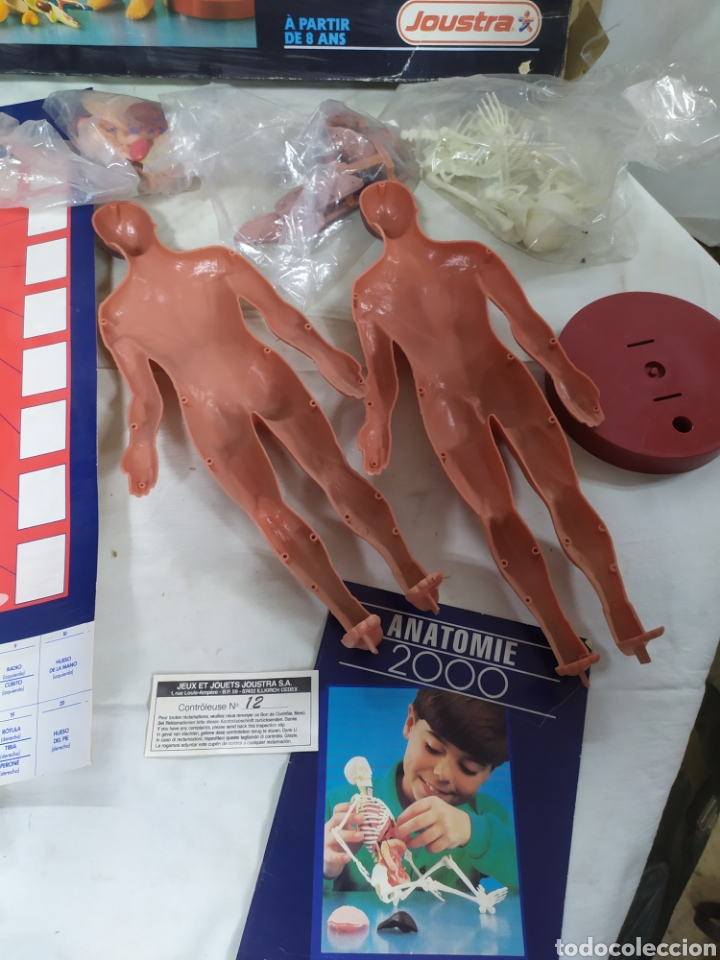 Juegos educativos: Anatom&iacute;a 2000 - Foto 3
