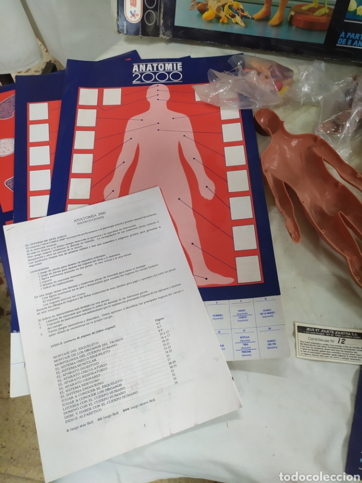 Juegos educativos: Anatom&iacute;a 2000 - Foto 4