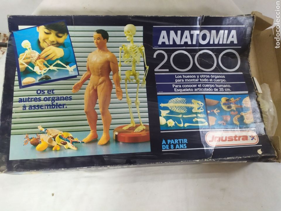 Juegos educativos: Anatom&iacute;a 2000 - Foto 1
