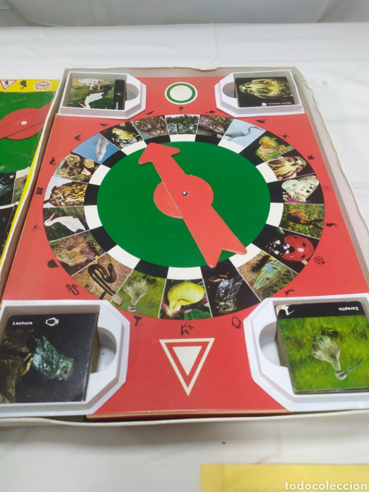 Juegos educativos: Fauna europea de Juegos EDUCA - Foto 2