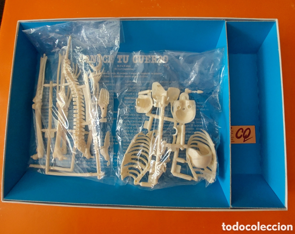 Juegos educativos: CONOCE TU CUERPO # CONOCIMIENTOS B&Aacute;SICOS DE ANATOMIA # EDUCA - Foto 5