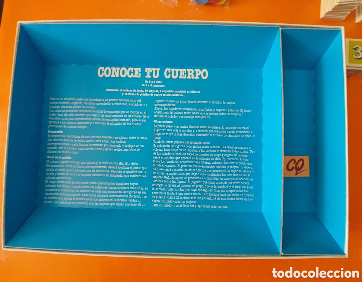 Juegos educativos: CONOCE TU CUERPO # CONOCIMIENTOS B&Aacute;SICOS DE ANATOMIA # EDUCA - Foto 7