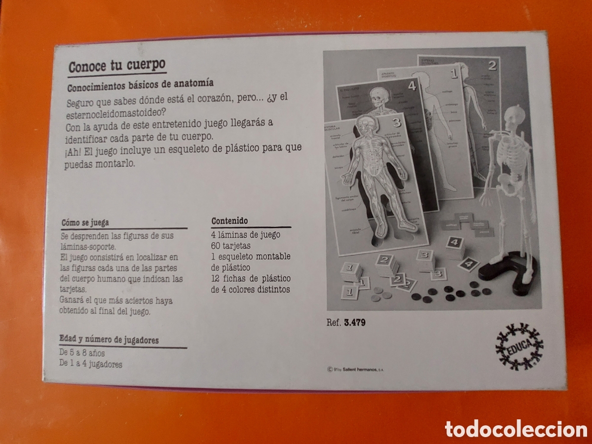 Juegos educativos: CONOCE TU CUERPO # CONOCIMIENTOS B&Aacute;SICOS DE ANATOMIA # EDUCA - Foto 8