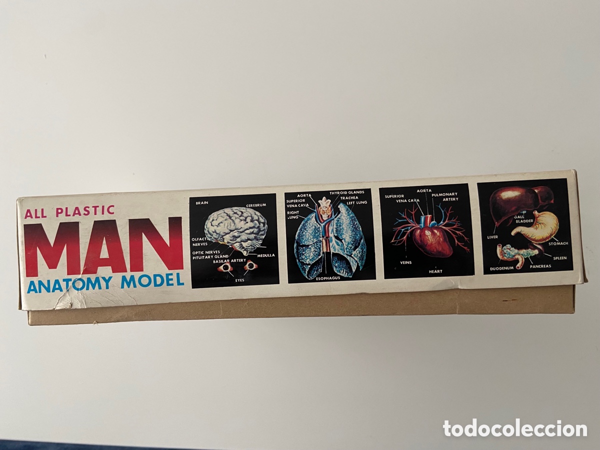 Juegos educativos: ANATOM&Iacute;A BULLMARK - Foto 2