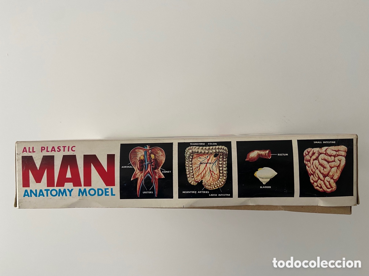 Juegos educativos: ANATOM&Iacute;A BULLMARK - Foto 3