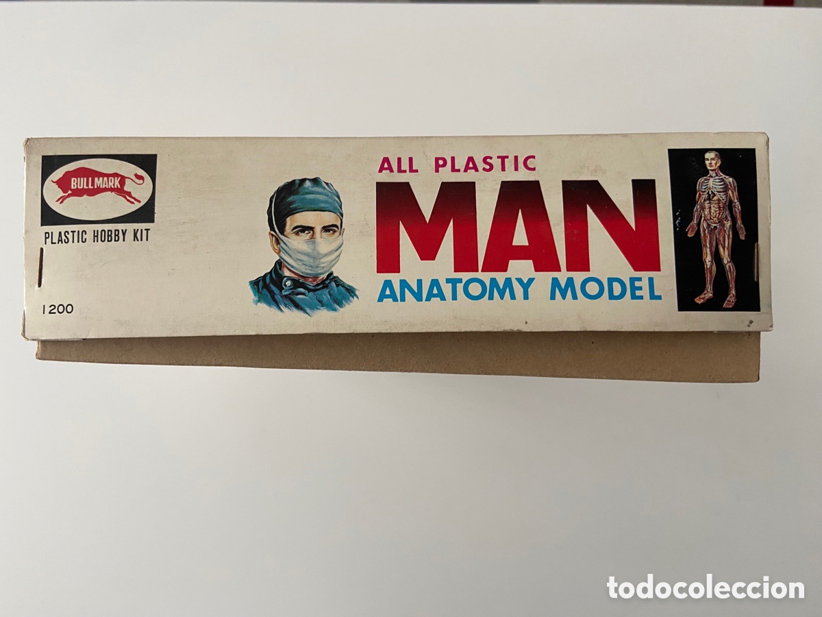 Juegos educativos: ANATOM&Iacute;A BULLMARK - Foto 4
