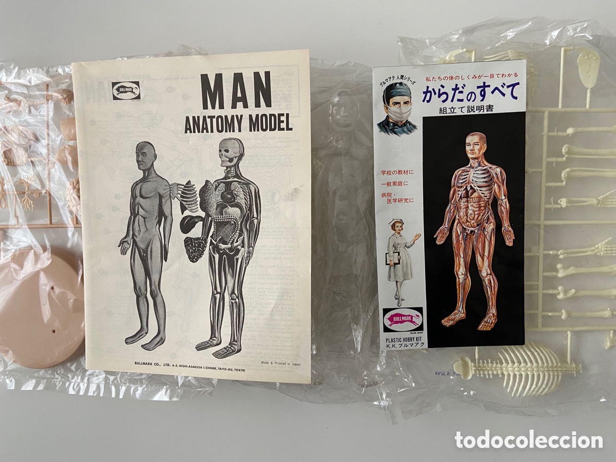 Juegos educativos: ANATOM&Iacute;A BULLMARK - Foto 7