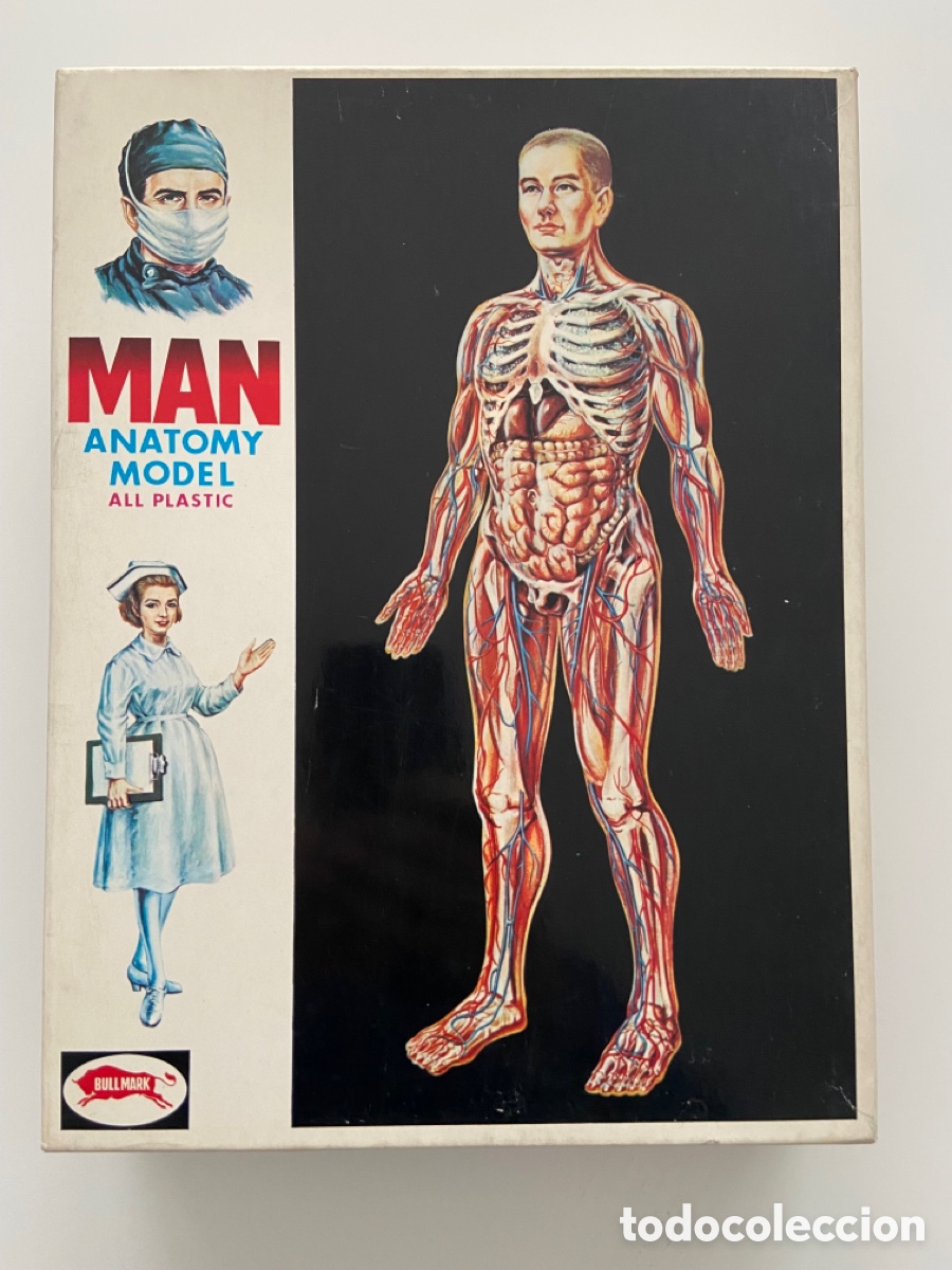 Juegos educativos: ANATOM&Iacute;A BULLMARK - Foto 1