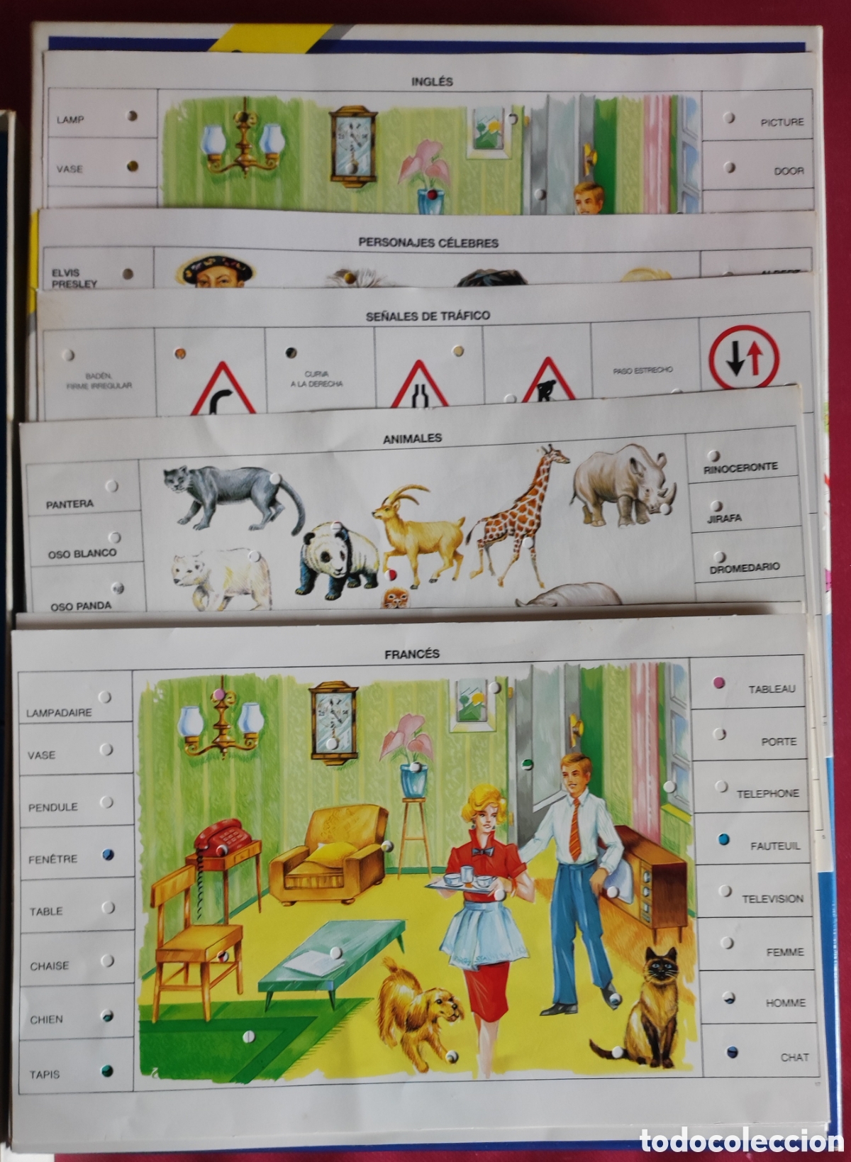 Juegos educativos: Sapientino a&ntilde;os 80 - Foto 2