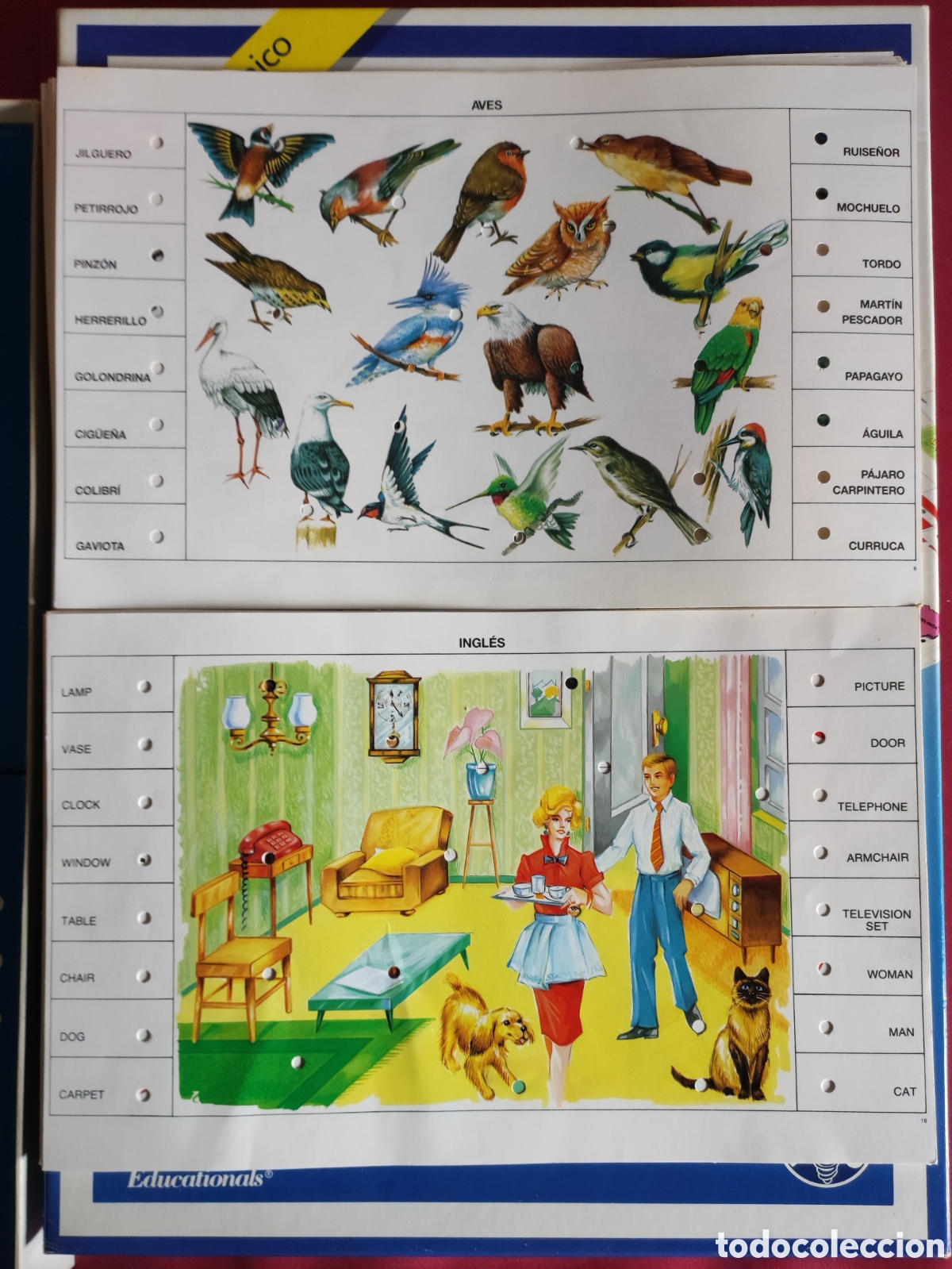 Juegos educativos: Sapientino a&ntilde;os 80 - Foto 3