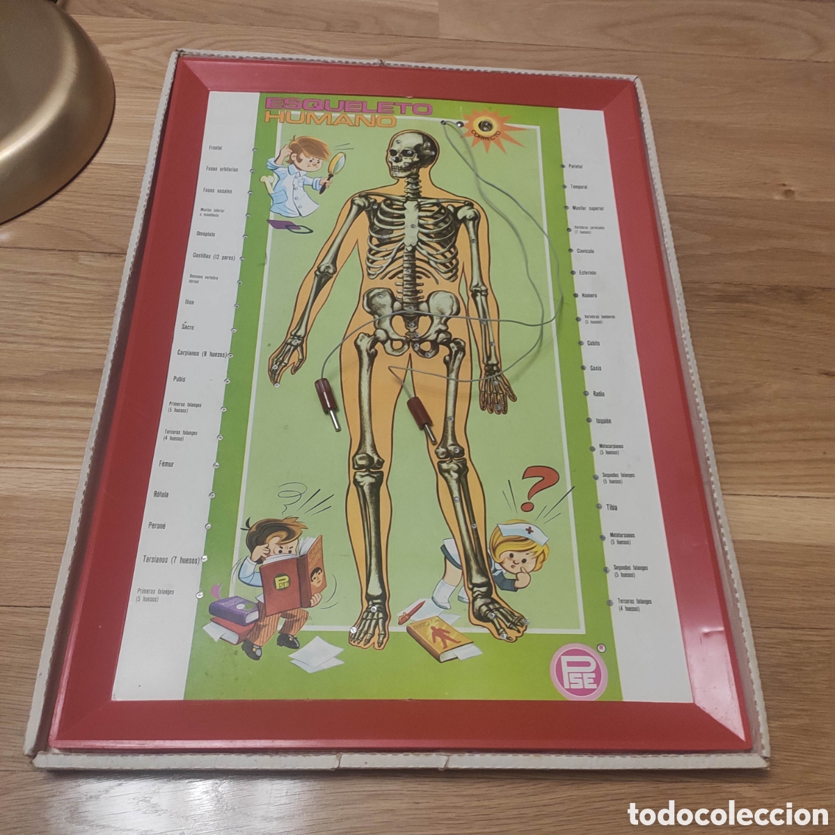 Juegos educativos: ESTUDIANDO ANATOMIA PSE - Foto 2