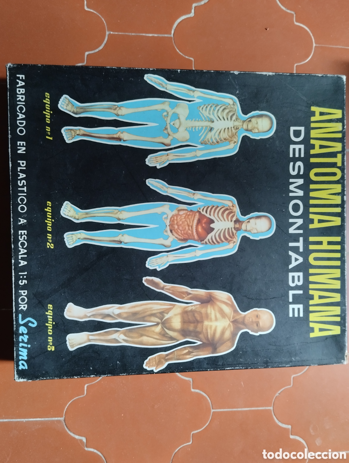 Juegos educativos: Anatom&iacute;a humana - Foto 2