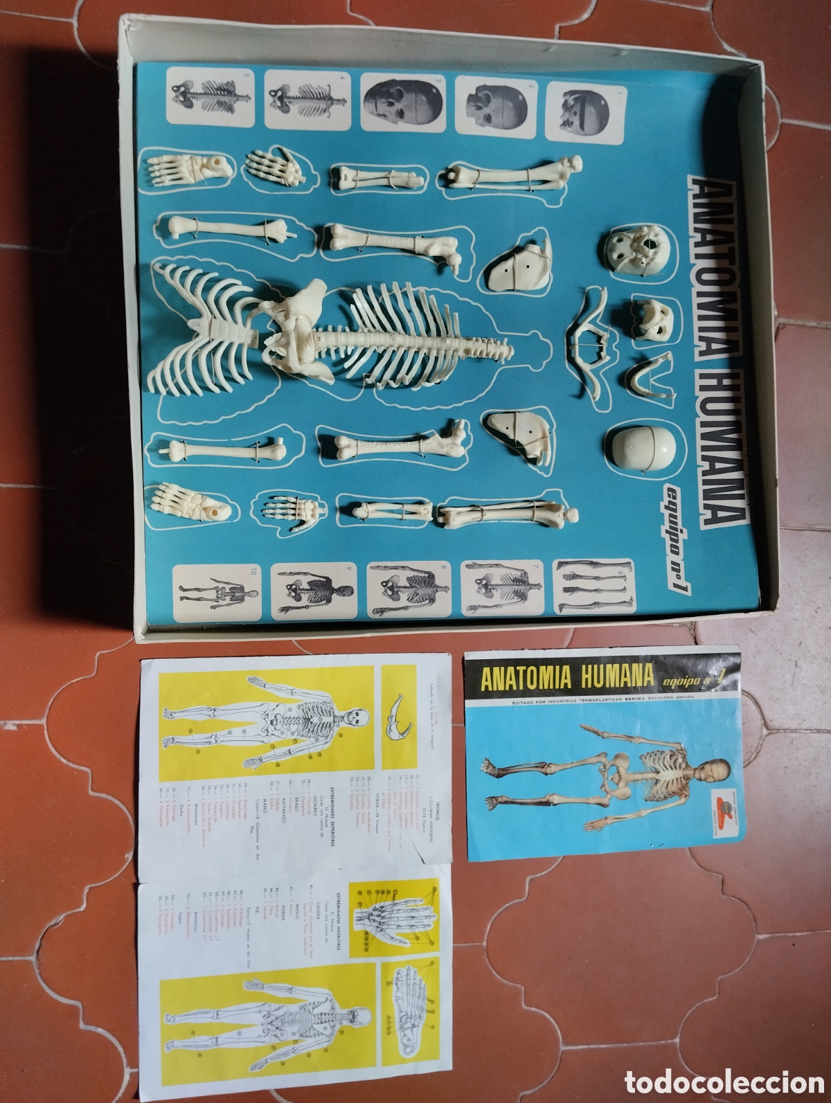 Juegos educativos: Anatom&iacute;a humana - Foto 1
