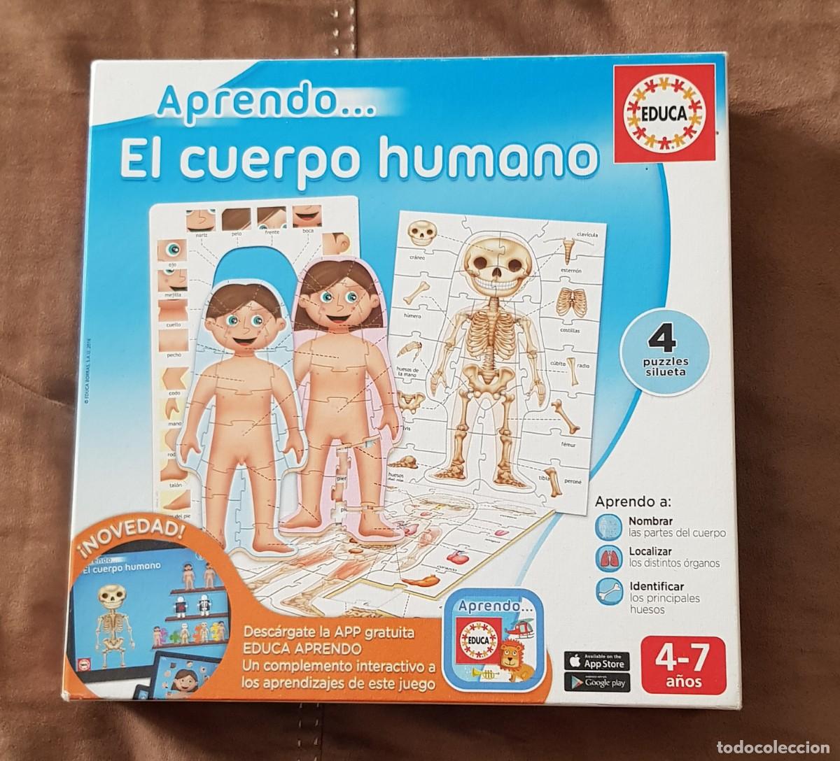 Juegos educativos: Aprendo... El cuerpo humano (EDUCA) - Foto 1