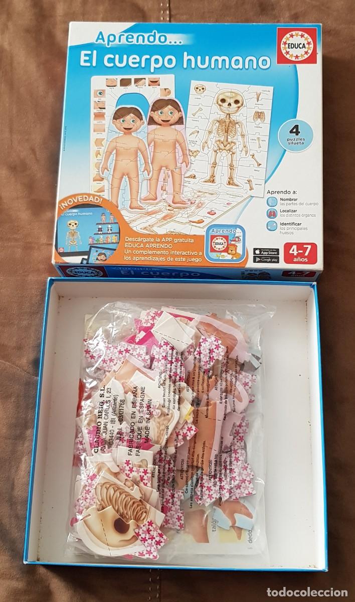 Juegos educativos: Aprendo... El cuerpo humano (EDUCA) - Foto 2