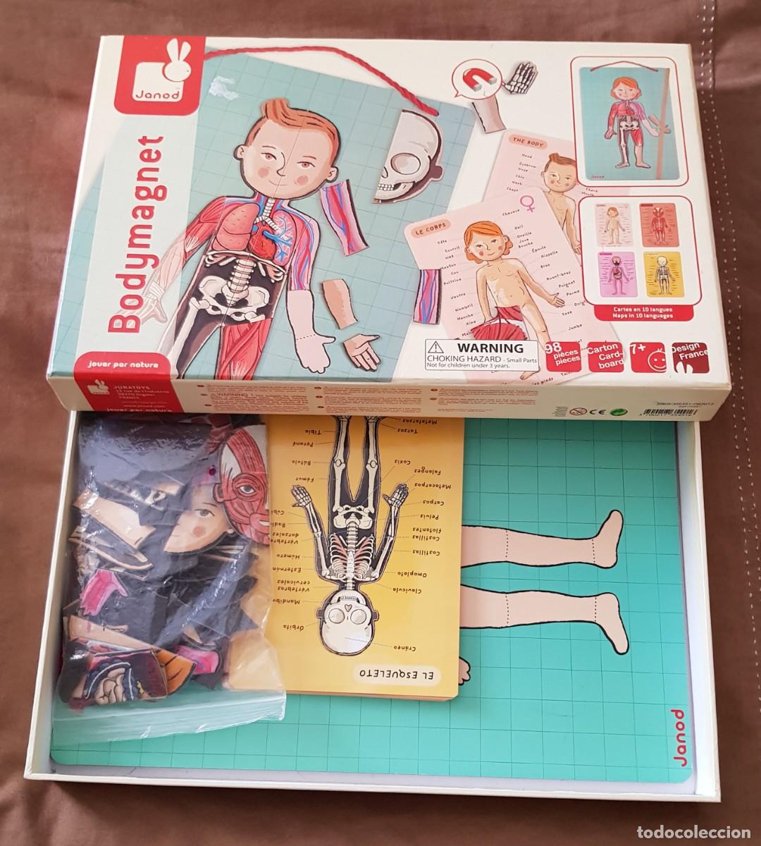 Juegos educativos: Juego Bodymagnet (JANOD) - Foto 2