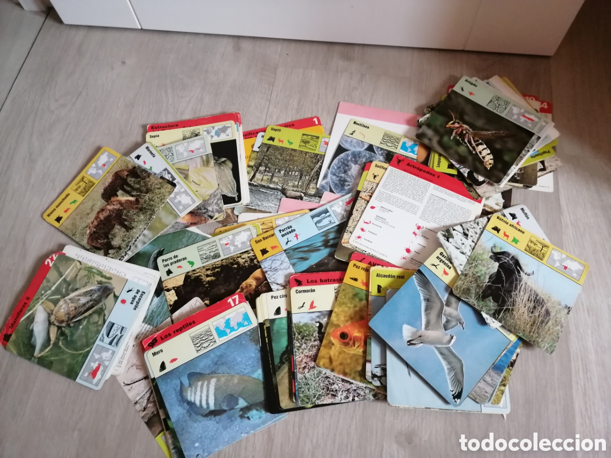 Juegos educativos: Fichas de animales - Foto 2