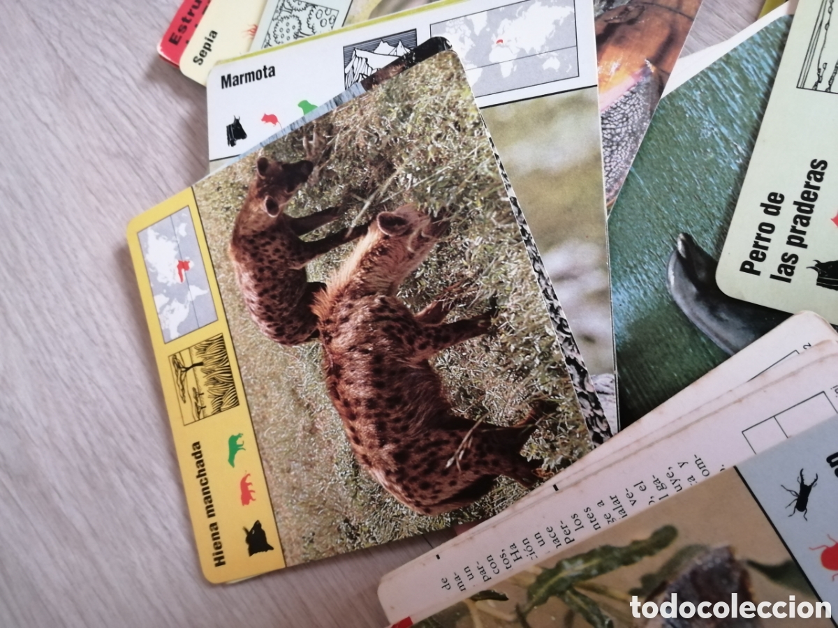 Juegos educativos: Fichas de animales - Foto 4