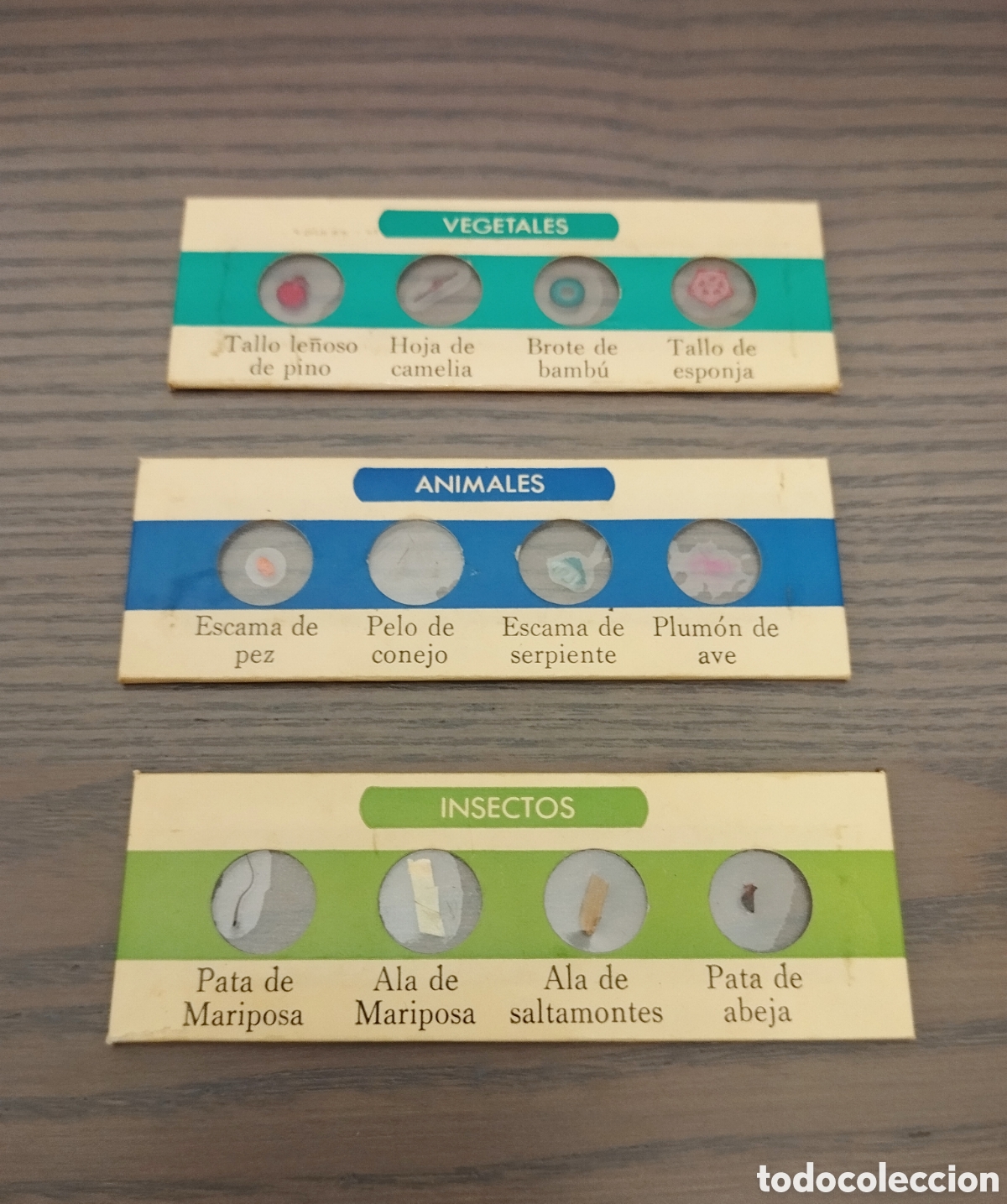 Juegos educativos: Micronova - Foto 16