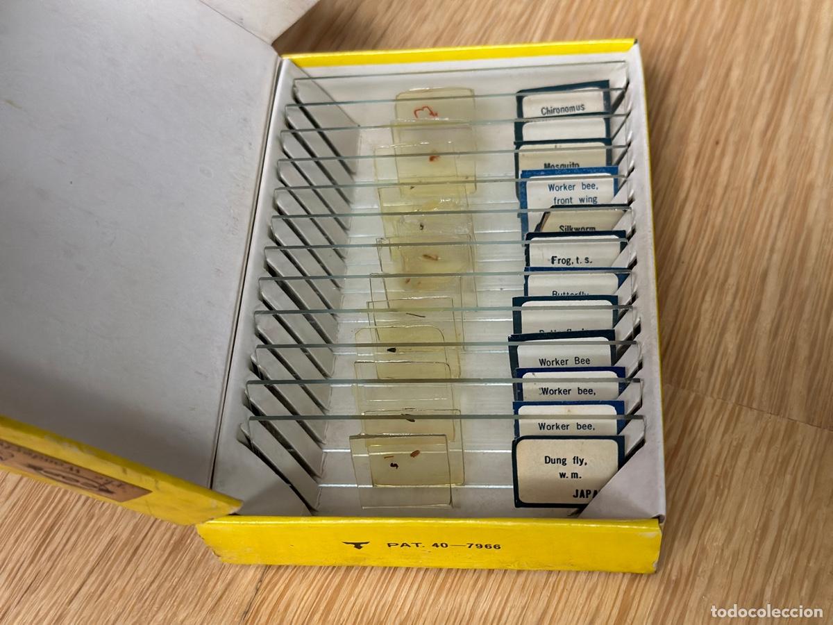 Juegos educativos: CAJA DE MICRO DIAPOSITIVAS, 12 MUESTRAS.SCOPE. - Foto 2